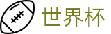 国际足联世界杯唯一指定买球网 · 顶尖中文赛事平台